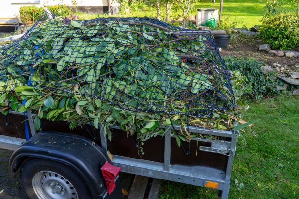 Best Shed Removal  in Florence, SC